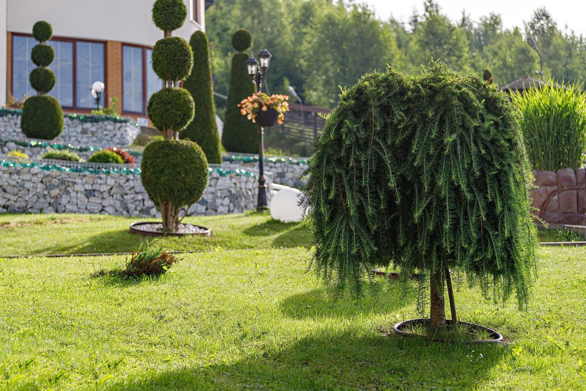 Hotel Podgorie Spa 부코벨 외부 사진